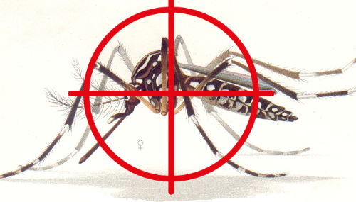 Vacina contra a dengue em adolescentes de 10 a 14 anos continua em São Joaquim da Barra