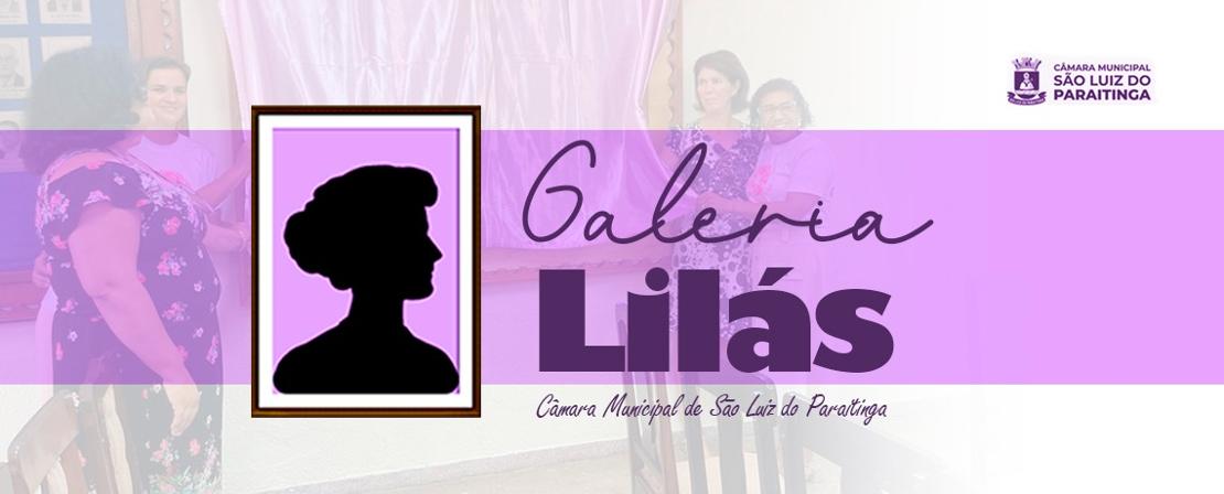 Galeria Lilás homenageia todas as vereadoras que já atuaram na cidade.